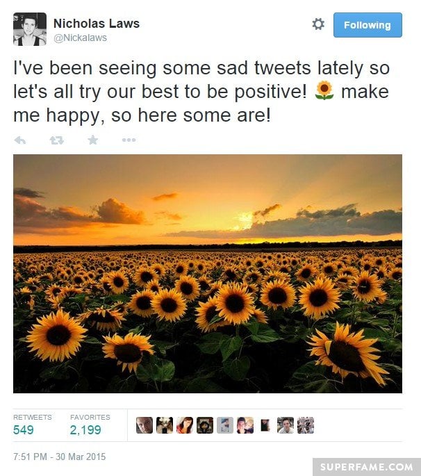 Nick Laws posts sunflowers.