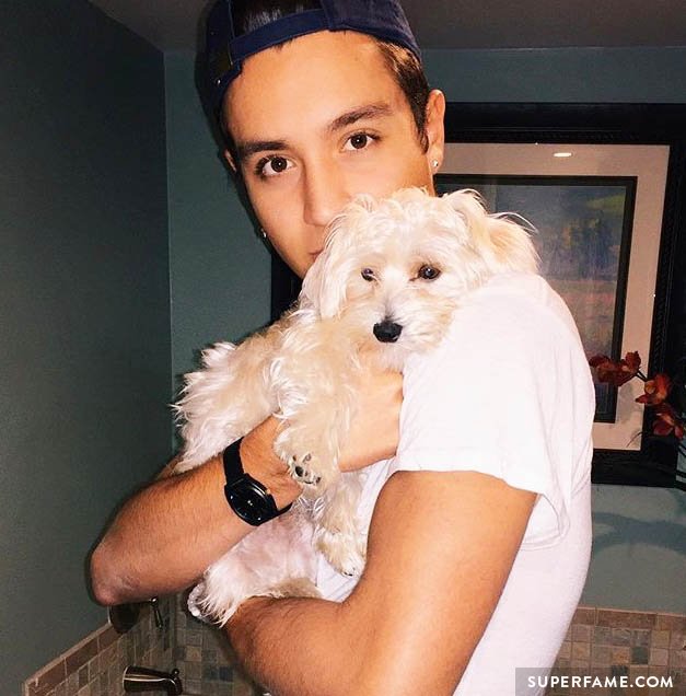 Gabriel Conte's dog.