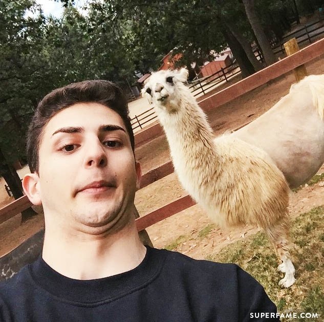 Issa with Llama.