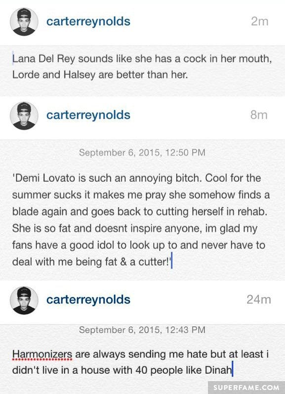 Lana, Demi, Dinah instagrams.