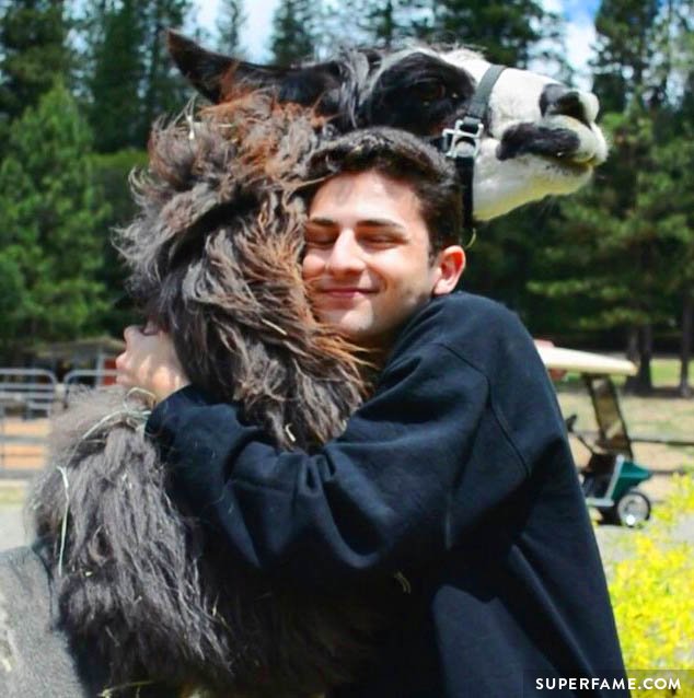 Twaimz hugs a llama.