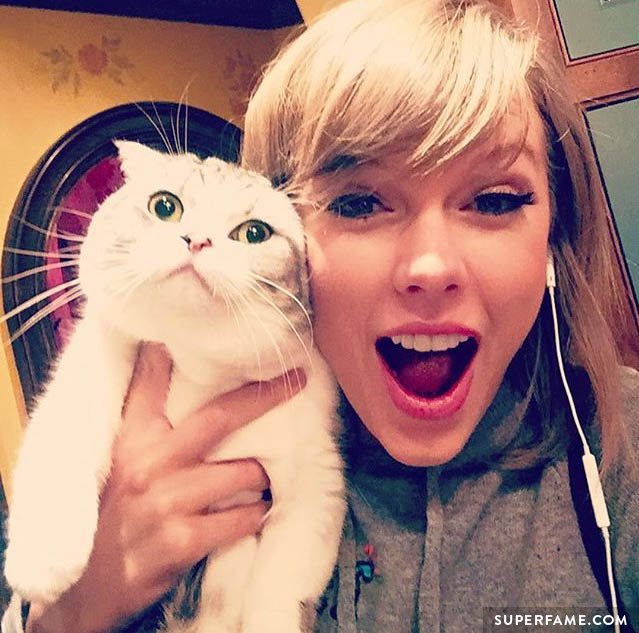 Taylor Swift and a cat.