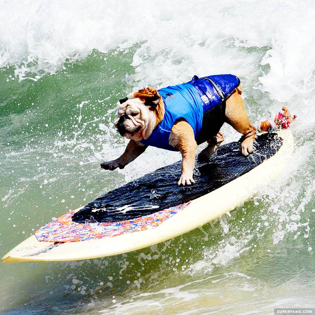 Tillman on the waves. (Photo: Facebook)