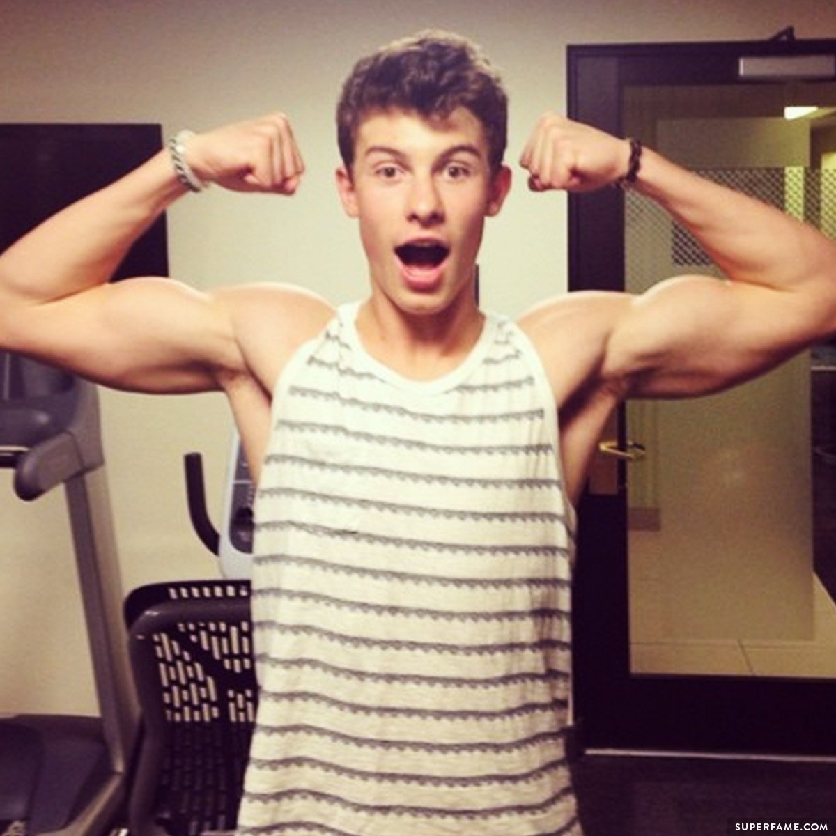Shawn Mendes' arms.