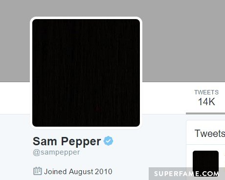 Sam Pepper's Twitter.