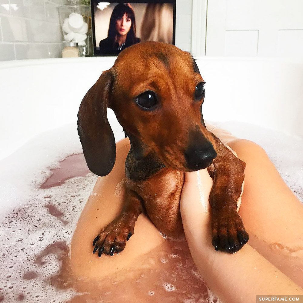 Tanya Burr's dog Martha.