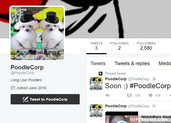 PoodleCorp.