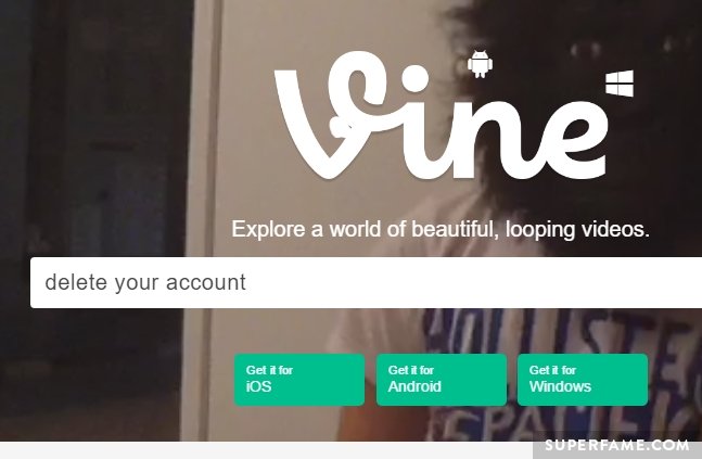 Vine website.