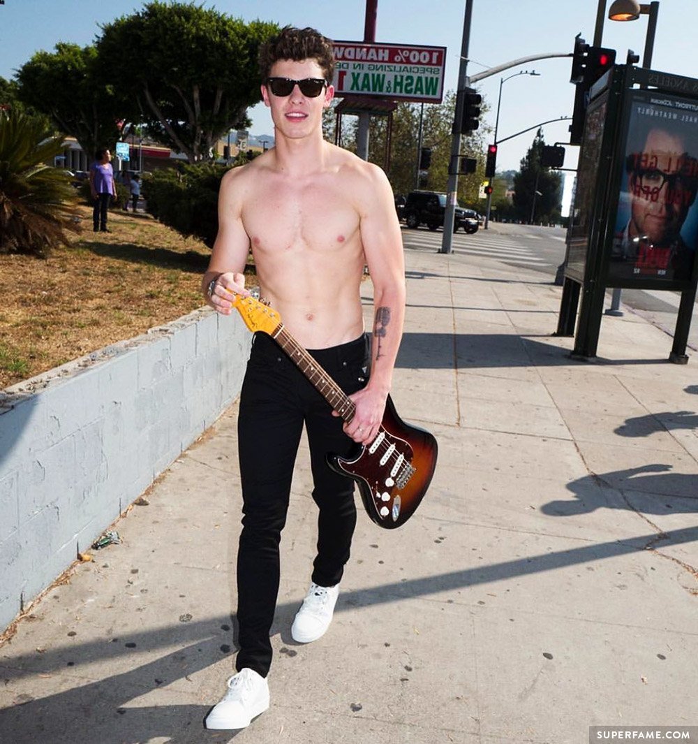 Shawn Mendes' abs.