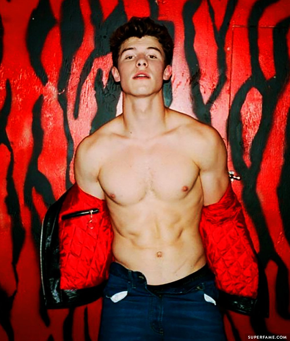 Shawn Mendes shirtless.