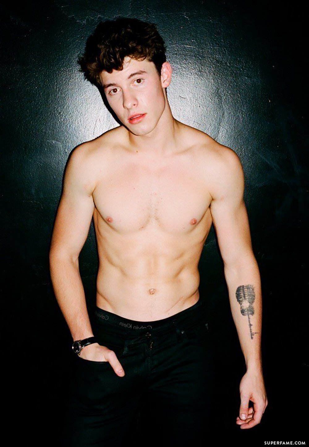 Shawn Mendes topless.