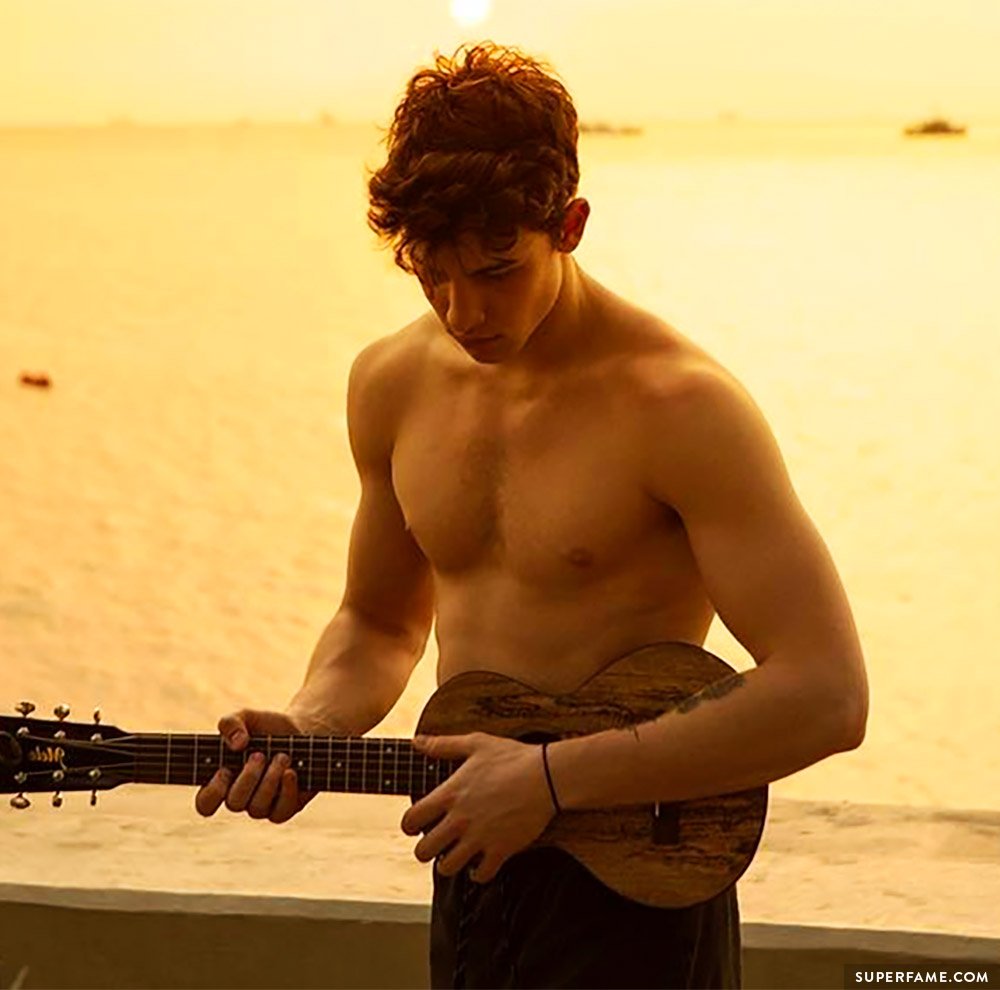 Shawn Mendes' pecs.