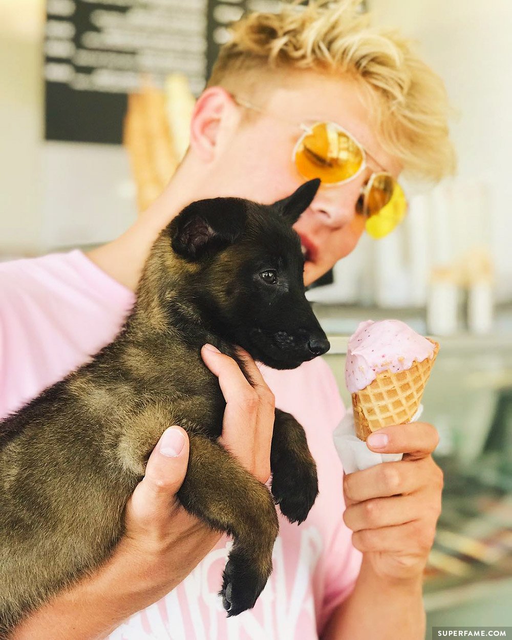 Jake Paul and Apollo.