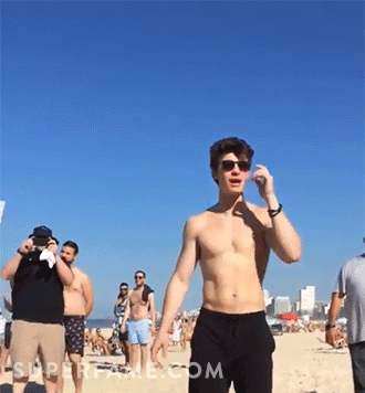 Shawn Mendes' body.